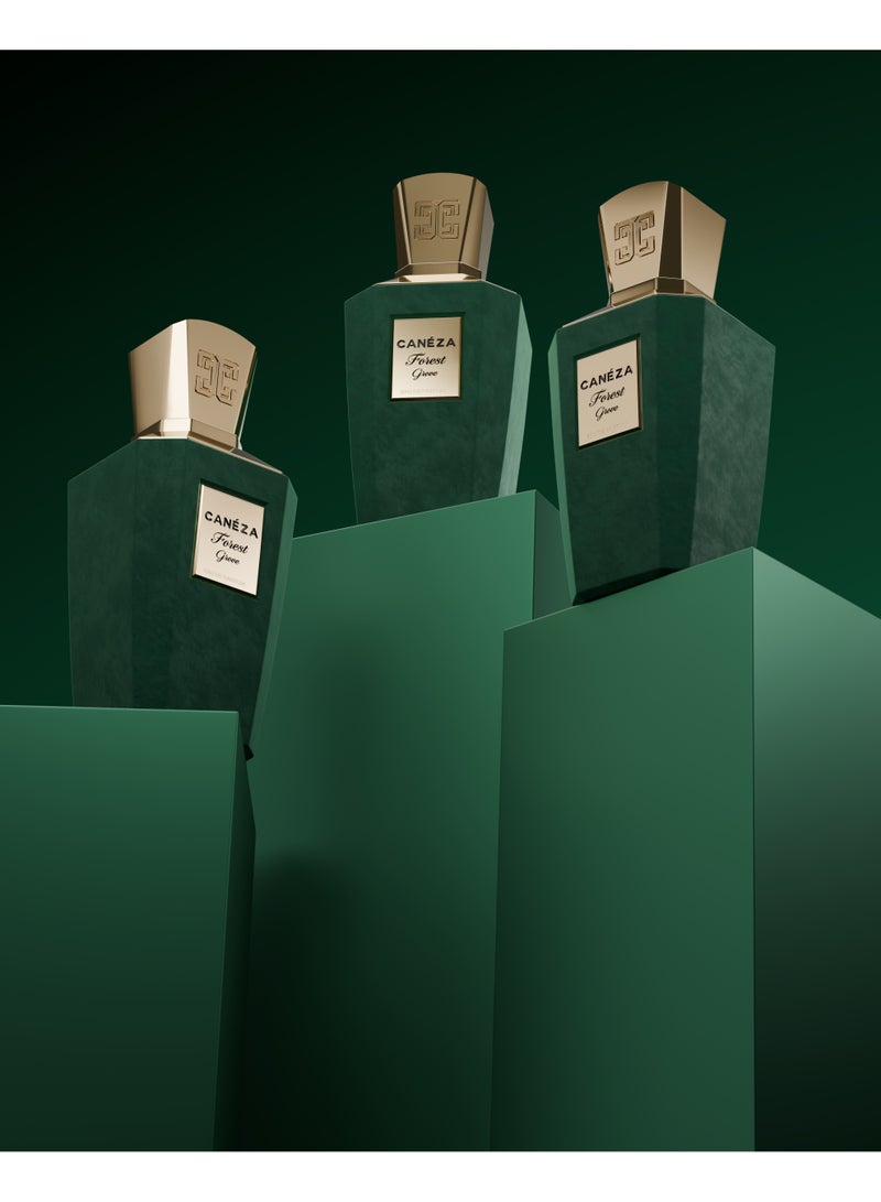 Canéza Forest Grove Eau de Parfum for Men & Women - Crisp Green Woody Scent with Matcha, Cedarwood & Sandalwood | Elegant Long-Lasting Fragrance | 100ML - Image 5