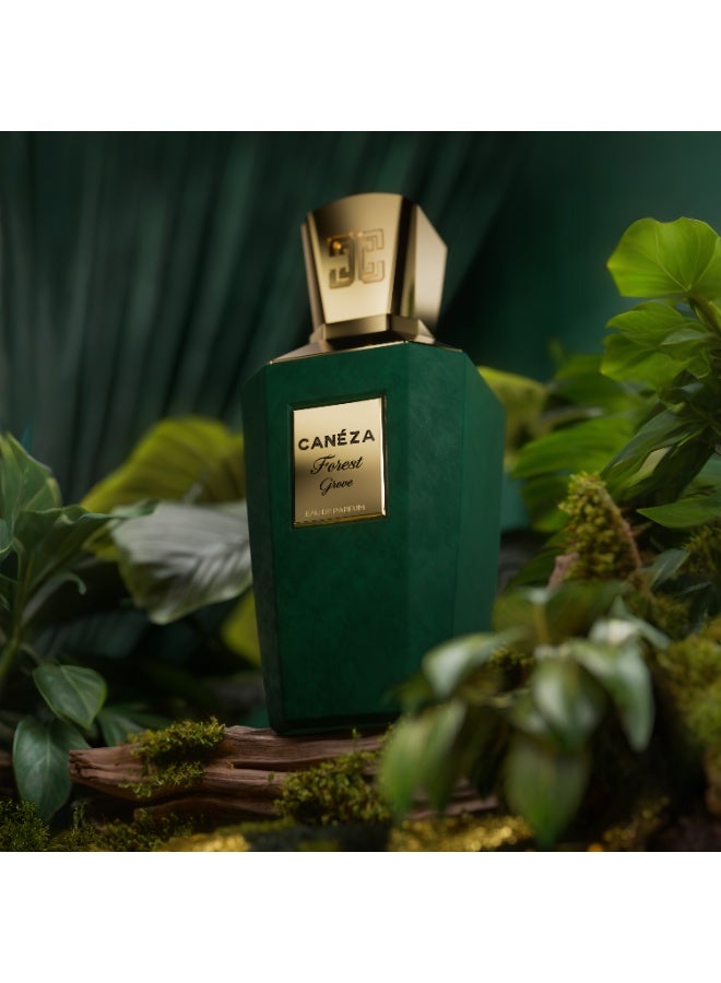Canéza Forest Grove Eau de Parfum for Men & Women - Crisp Green Woody Scent with Matcha, Cedarwood & Sandalwood | Elegant Long-Lasting Fragrance | 100ML - Image 4