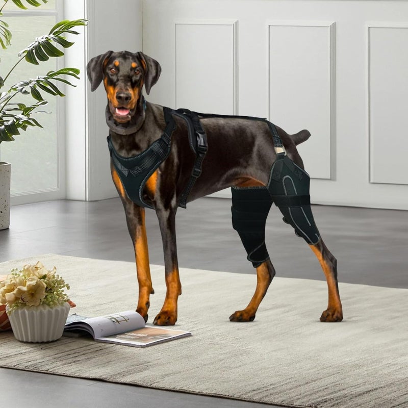 TinyGlam Rodillera ACL para Perro para Pierna Trasera Desgarrada,Rodilleras para Perros para Lesión del Ligamento Roto,Soporte De Displasia De Cadera para Perros, Rótula Luxant (L) - Image 4