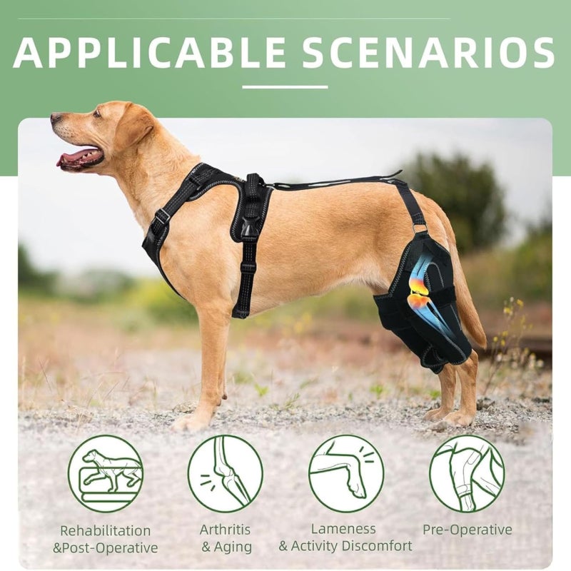 TinyGlam Rodillera ACL para Perro para Pierna Trasera Desgarrada,Rodilleras para Perros para Lesión del Ligamento Roto,Soporte De Displasia De Cadera para Perros, Rótula Luxant (L) - Image 5