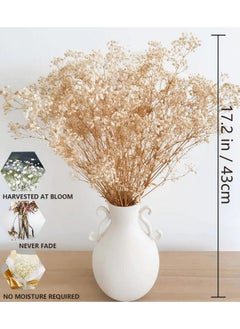 Comtelek Dried Flowers Babys Breath Flowers Bouquet With Lights17.2 Inch 3000+ Natural Ivory White Bulk Flowers Real Gypsophila Branches For Home Decor Wedding Wreath Floral Boho Decor Dry Flowers For Vase  - Image 5