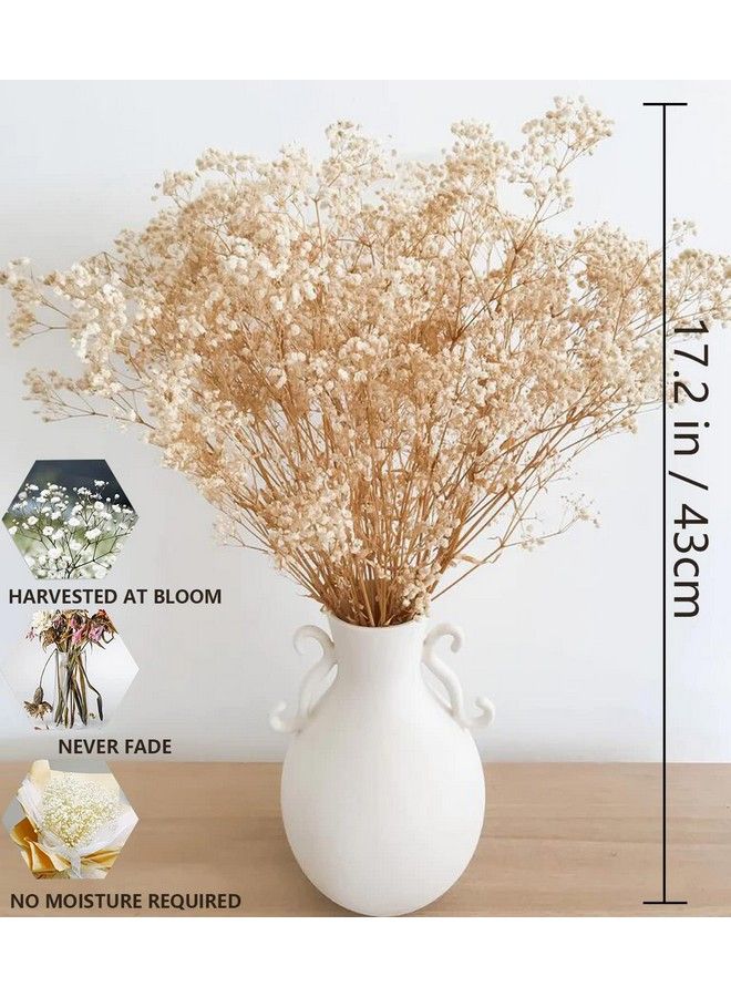 Comtelek Dried Flowers Babys Breath Flowers Bouquet With Lights17.2 Inch 3000+ Natural Ivory White Bulk Flowers Real Gypsophila Branches For Home Decor Wedding Wreath Floral Boho Decor Dry Flowers For Vase - Image 5