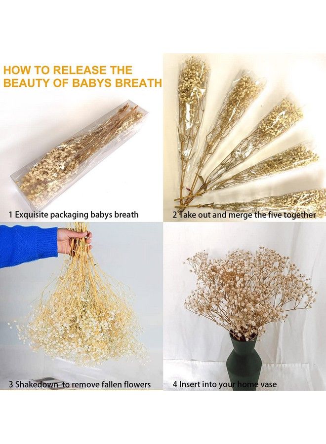 Comtelek Dried Flowers Babys Breath Flowers Bouquet With Lights17.2 Inch 3000+ Natural Ivory White Bulk Flowers Real Gypsophila Branches For Home Decor Wedding Wreath Floral Boho Decor Dry Flowers For Vase - Image 4