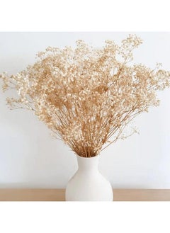 Comtelek Dried Flowers Babys Breath Flowers Bouquet With Lights17.2 Inch 3000+ Natural Ivory White Bulk Flowers Real Gypsophila Branches For Home Decor Wedding Wreath Floral Boho Decor Dry Flowers For Vase  - Image 1