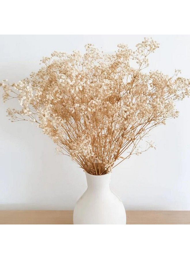 Comtelek Dried Flowers Babys Breath Flowers Bouquet With Lights17.2 Inch 3000+ Natural Ivory White Bulk Flowers Real Gypsophila Branches For Home Decor Wedding Wreath Floral Boho Decor Dry Flowers For Vase - Image 1
