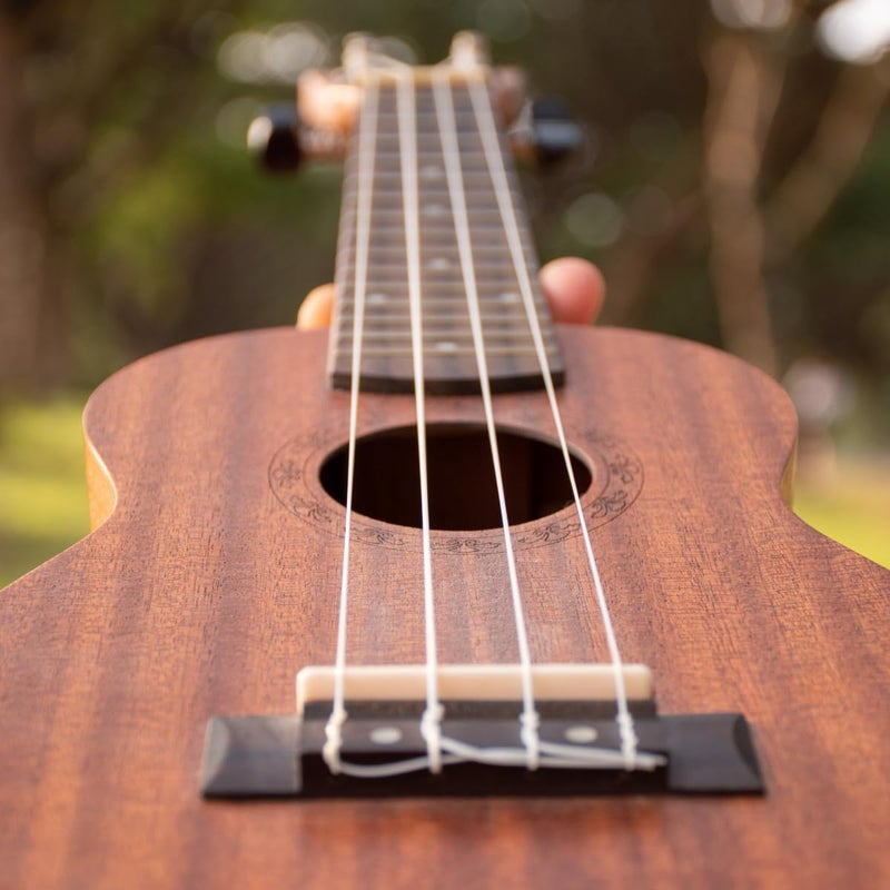 TechBlaze 4 Nylon Ukulele Strings Set with Picks Replacement Ukulele Strings True Tone for Soprano, Concert, Tenor, 1-A,2-E,3-C,4-G – White - Image 2