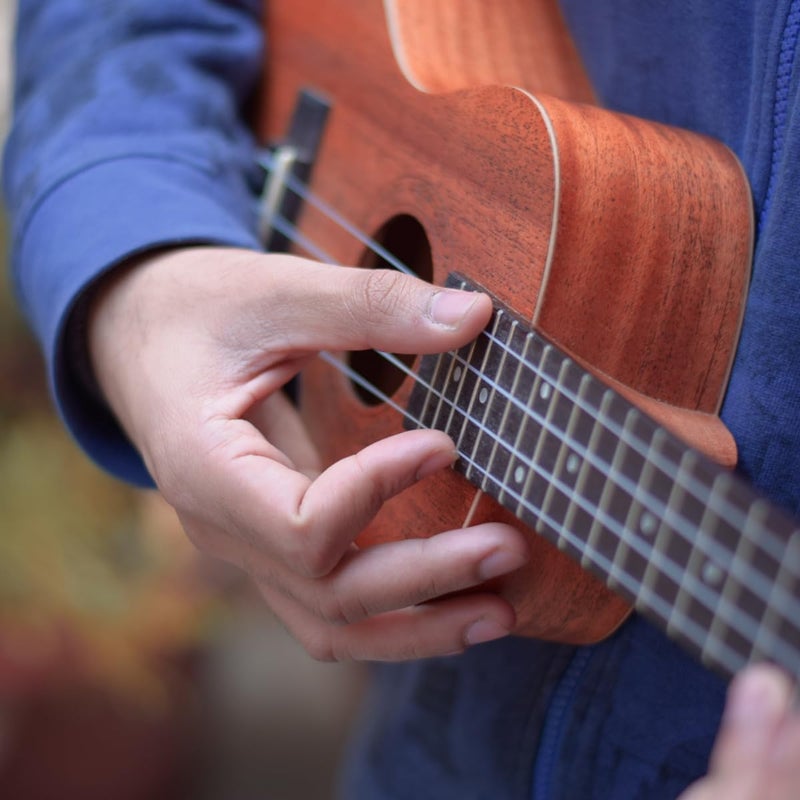 TechBlaze 4 Nylon Ukulele Strings Set with Picks Replacement Ukulele Strings True Tone for Soprano, Concert, Tenor, 1-A,2-E,3-C,4-G – White - Image 3