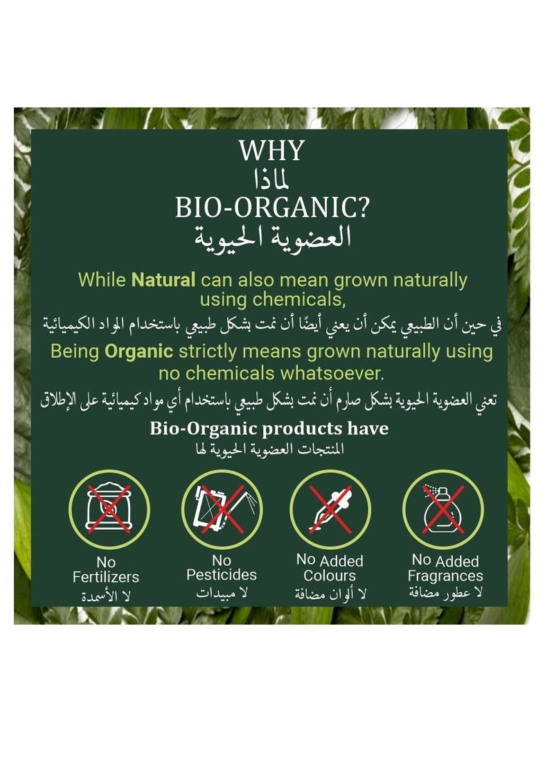 Indus Valley Indus Valley Bio Organic Natural Halal Certified Sandalwood Powder Face Pack Skin Treatment, 100gram  - Image 3