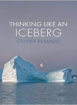 Thinking Like an Iceberg - pzsku/ZB37CE0094E419750D8D8Z/45/_/1683114657/7c7f3b7d-c19b-4518-983d-f713cc93a50f