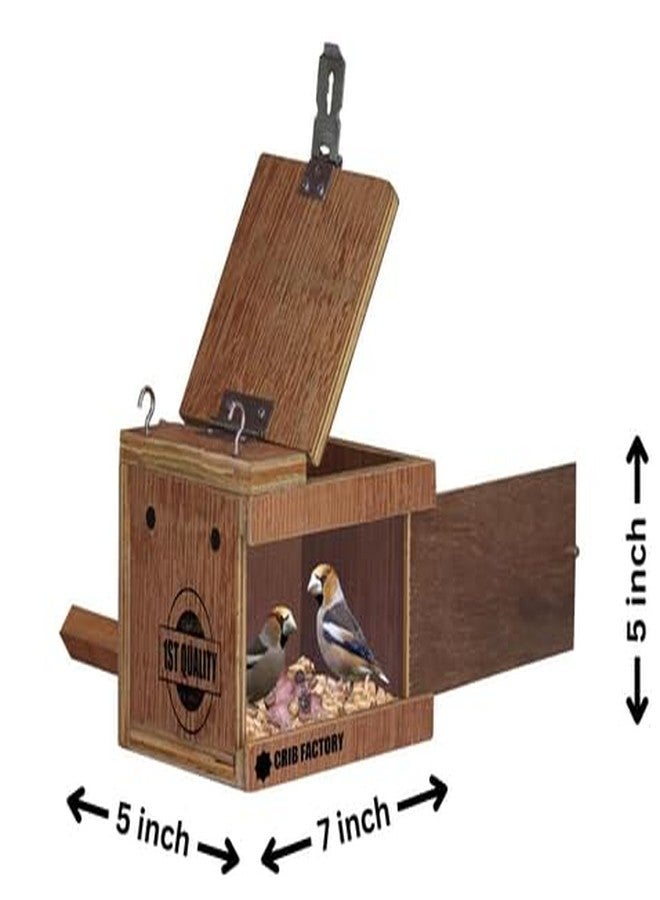 CRIB FACTORY CRIBFACTORY | WOOODEN BREEDING Box for Finches | ONE Side Transparent | 7x5x5 INCH - Image 2