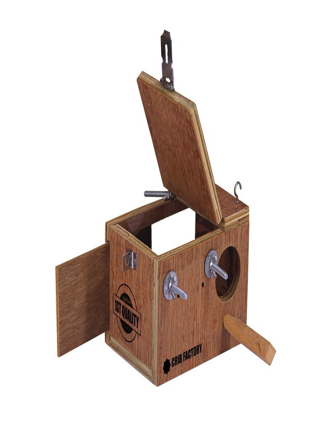 CRIB FACTORY CRIBFACTORY | WOOODEN BREEDING Box for Finches | ONE Side Transparent | 7x5x5 INCH - Image 3