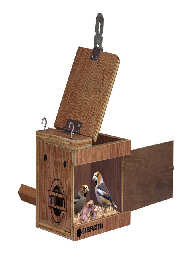 CRIB FACTORY CRIBFACTORY | WOOODEN BREEDING Box for Finches | ONE Side Transparent | 7x5x5 INCH - Image 1