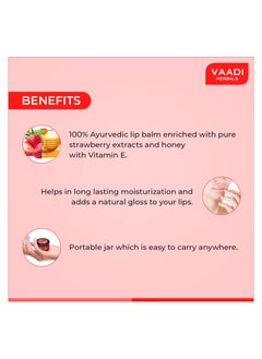 VAADI HERBALS Lip Balm Strawberry And Honey 10gm Pack Of 4  - Image 2