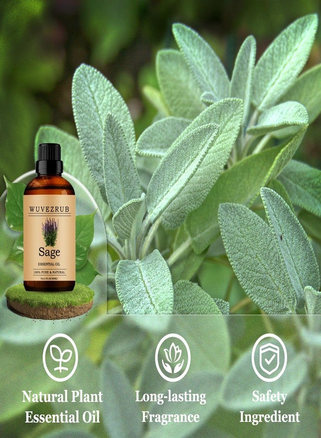 Wuvezrub Sage Essential Oils 60ML, Pure Sage Essential Oil for Aromatherapy Diffuser - 2 Fl Oz - Image 3