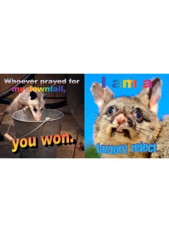 No Thoughts Just Possums  - Image 3
