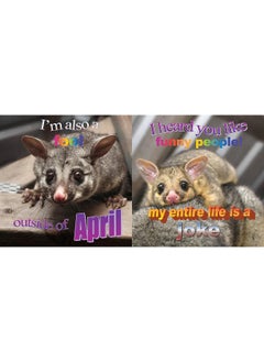 No Thoughts Just Possums  - Image 4