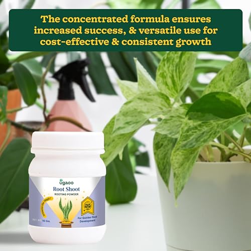 Ugaoo Rooting Hormone Powder for Plant Cuttings – Root Shoot 50g | Fast Root Growth Booster for Garden & Indoor Plants - Image 3
