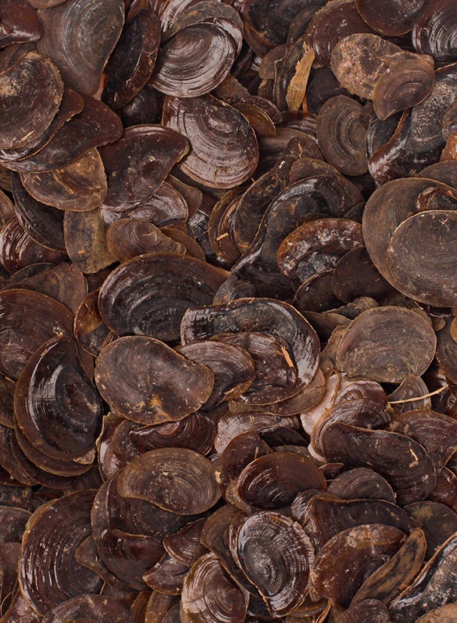 ALHAMIDI Bakhoor Dhofer 1 Kg - Image 2