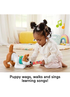 Fisher-Price 123 Crawl With Me Puppy  - Image 3