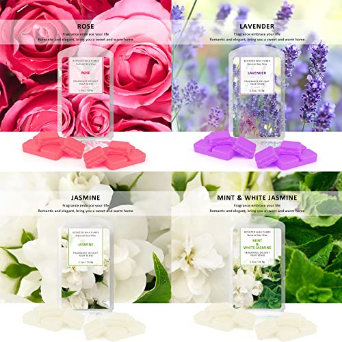 STRN Scented Wax Melts Wax Cubes, Long Lasting Scent Soy Wax Cubes for Warmer Wax Melts Candle Making Gift Set for Fall and Winter 16 Pack (16x2.5oz) - Image 5