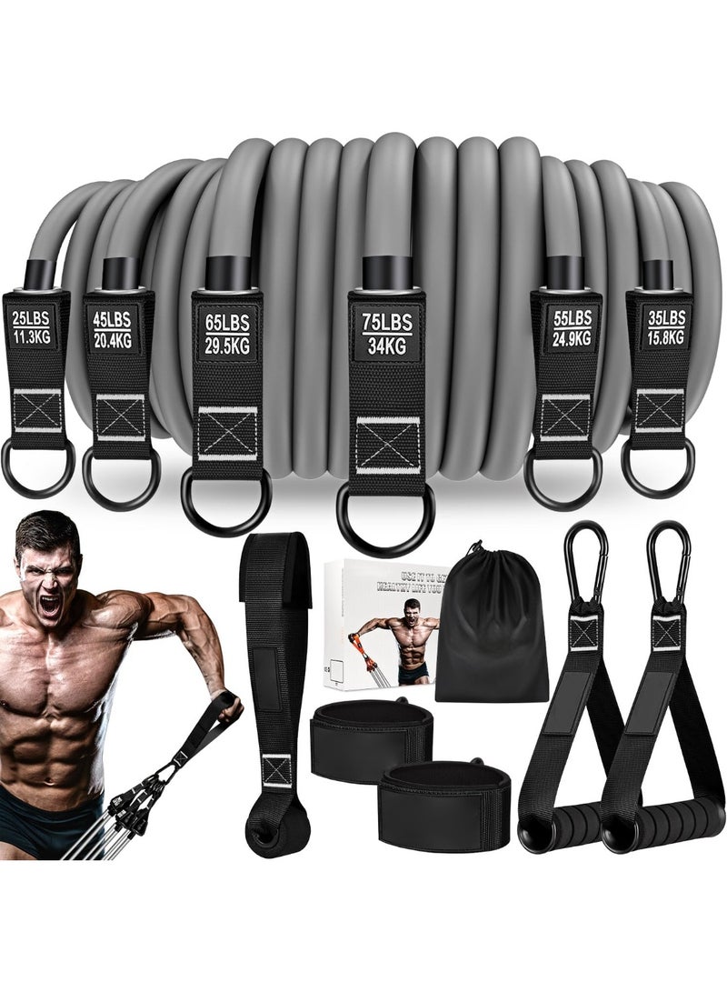 Oasisgalore 300 LBS Resistance Bands Set for Men with Handles，Exercise Fitness Bands with Carry Bag for Muscle Training, Home Gym Equipment - Image 1