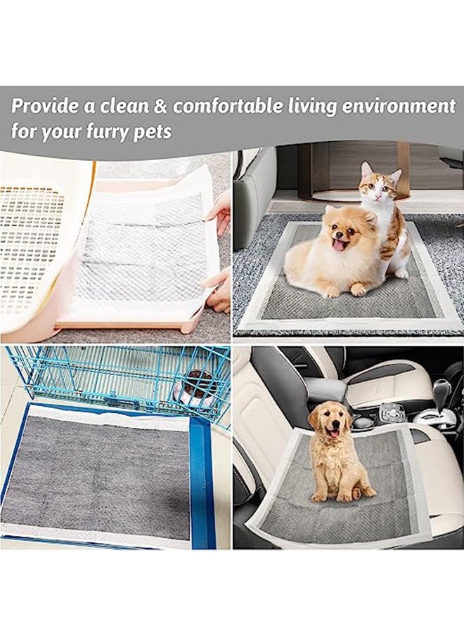 Generic - Upgrade Odor Control Extra Large Charcoal Pee Pads For Dogs 5 Layers Ultra Absorbent Dog Pee Pads Leak-Proof Puppy Training Pads Quick Dry Charcoal Puppy Pads 33*45 100pcs - Image 1
