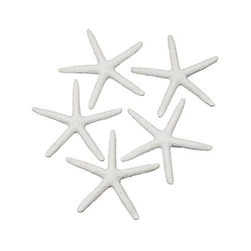 LJY 25 Pieces 8cm White Resin Pencil Finger Starfish for Wedding Home Decor and Craft Project - Image 2