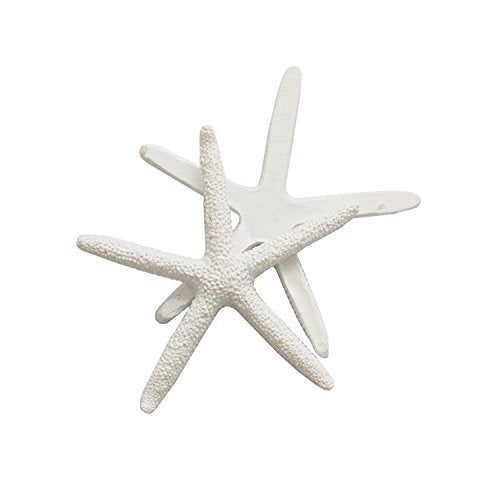 LJY 25 Pieces 8cm White Resin Pencil Finger Starfish for Wedding Home Decor and Craft Project - Image 3
