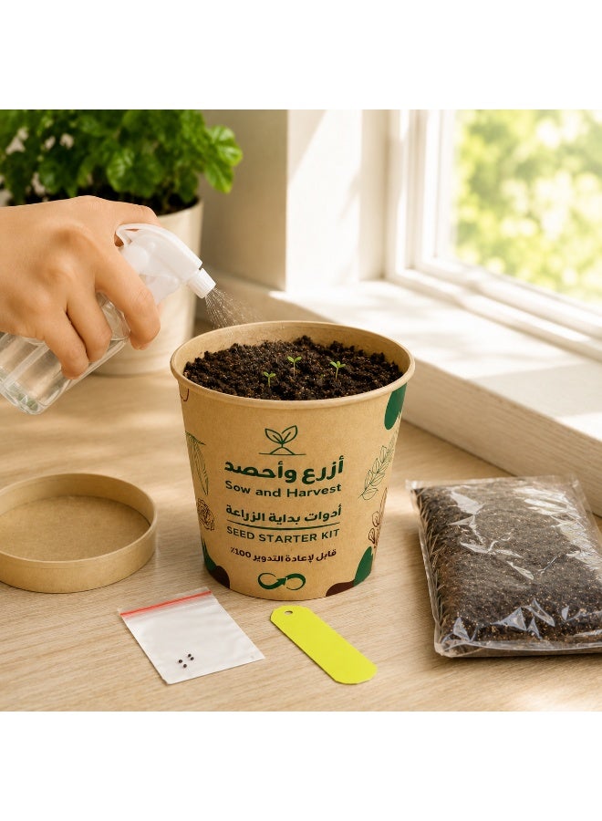 Bathurat 6 boxes Plant & Harvest – Arugula – Planting Tools in Cup with Soil & Seeds – Home Farming, Suitable for School & Business Distributions – Made from Recycled Materials - Image 3