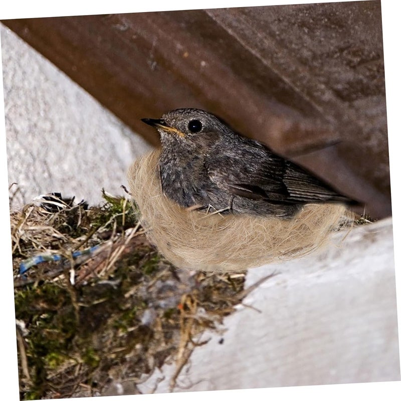 DIY Bird Nesting Material Bird Bedding Safe Jute Silk Rope Raffia Grass for Nesting Supplies - Image 3