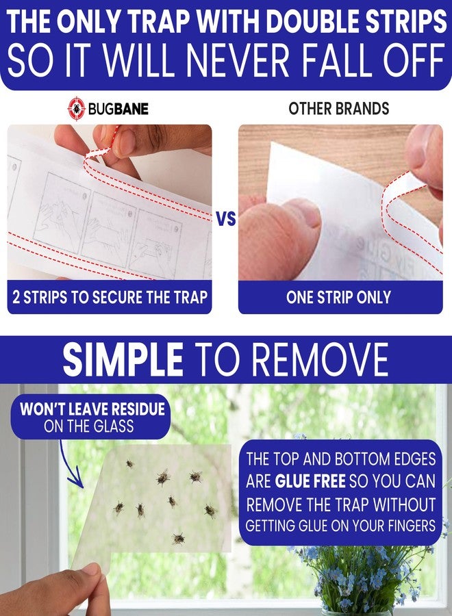 BugBane Window Fly Traps 50 Pack - Image 5