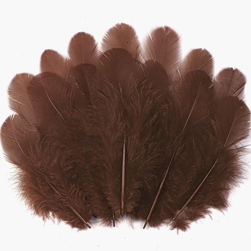 Soarer 300pcs Brown Feathers for Crafts - 3-5inch Craft Feathers Bulk for Wedding Home Party, Dream Catcher Supplies and DIY Crafts(Brown) - Image 1