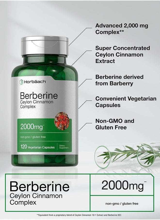 Horbaach Horbaach Berberine Plus Ceylon Cinnamon | 2000mg | 120 Veggie Capsules | Vegetarian, Non-GMO & Gluten Free Supplement | Berberine Complex  - Image 3