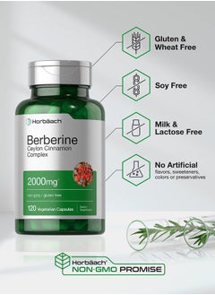 Horbaach Horbaach Berberine Plus Ceylon Cinnamon | 2000mg | 120 Veggie Capsules | Vegetarian, Non-GMO & Gluten Free Supplement | Berberine Complex  - Image 4