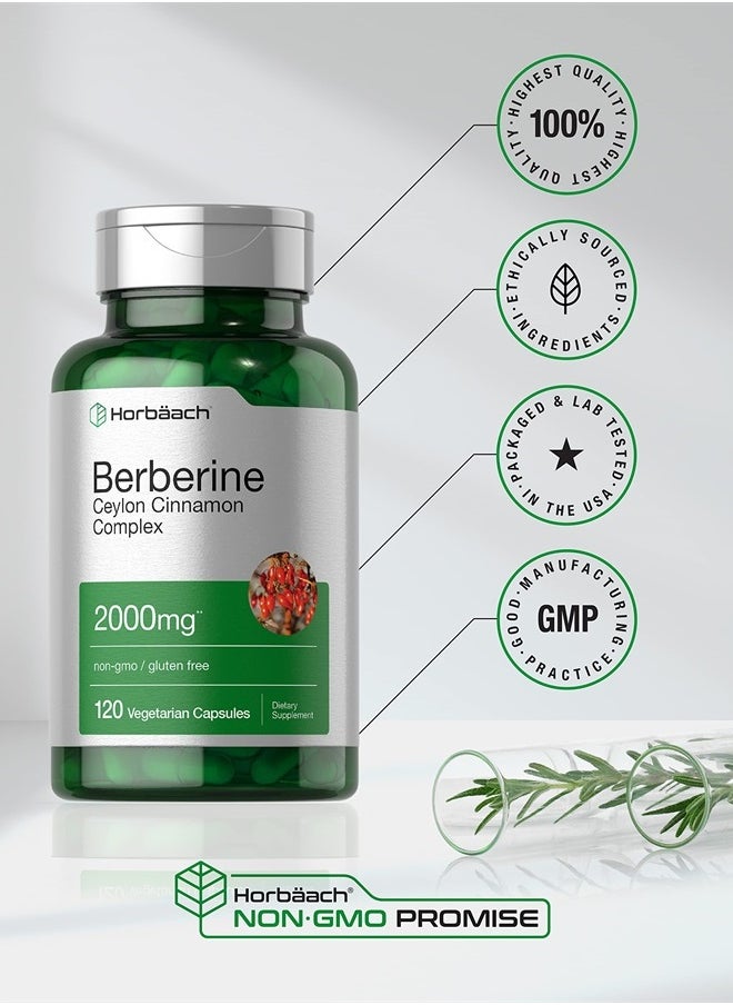 Horbaach Horbaach Berberine Plus Ceylon Cinnamon | 2000mg | 120 Veggie Capsules | Vegetarian, Non-GMO & Gluten Free Supplement | Berberine Complex  - Image 5