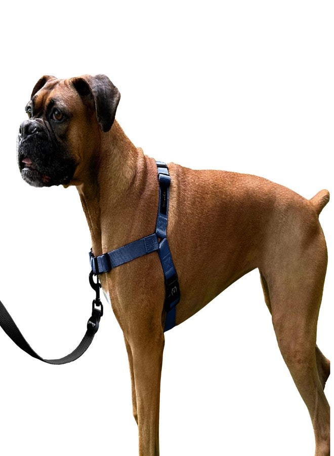 ShawnCo Dream Walk No-Pull Dog Harness- Adjustable, Comfortable, Easy to Use Pet Halter to Help Stop Pulling for Small, Medium and Large Dogs (Pacific Blue, S) - Image 1