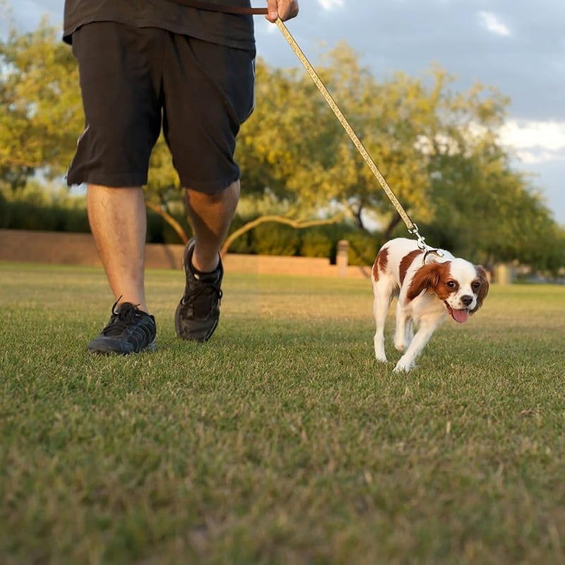Heavy Duty Swivel Snap Hooks 176Lb Zinc Alloy Lobster Clips For Pet Leashes Keychains Crafts - Image 4