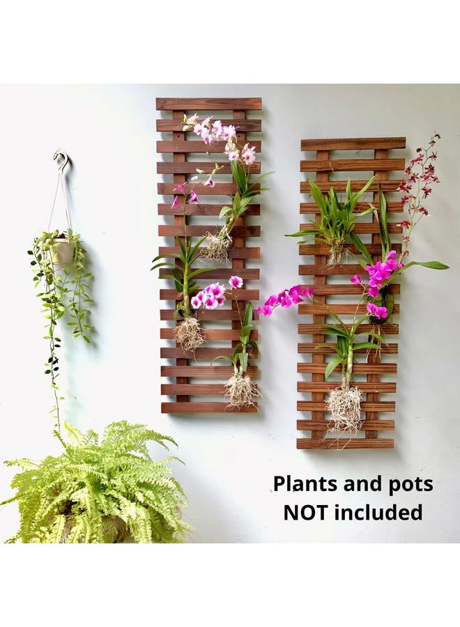 ShopLaLa Wall Planter – 2 Pack Hanging Planter for Indoor Plants, Plant Stand, Air Plant Succulent Holder, Vertical Garden, Plant Wall, Large Wall Decor for Living Room, Room Decor for Teens - Image 5