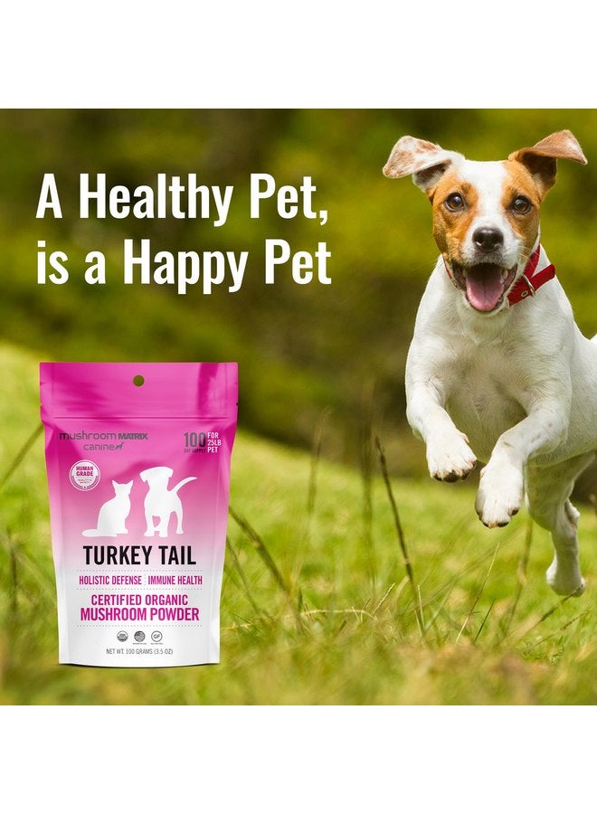 mushroom Matrix Om Mushroom Matrix Pet - Canine | Turkey Tail | USA Grown Human-Grade Organic Mushroom Powder Pet Supplement | Immunity Support & Holistic Defense for Dogs & Cats | 100 Grams, 3.5 oz - Image 2