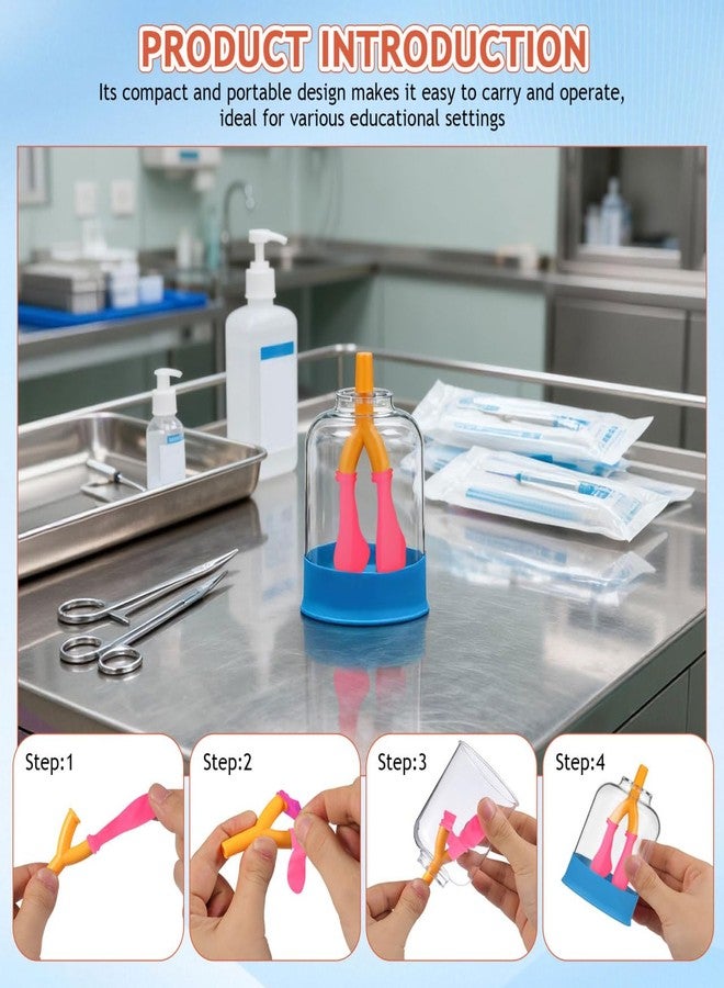 PRETYZOOM Human Lung Breathing Model for Scientific Experiments Educational Anatomy Tool for Lung Function Simulation Lightweight Design for Classrooms and Research Settings - Image 4