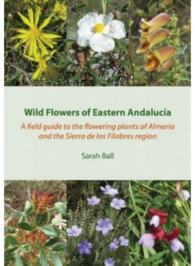 Wild Flowers of Eastern Andalucia A Field Guide to the Flowering Plants of Almeria and the Sierra De Los Filabres Region - Paperback