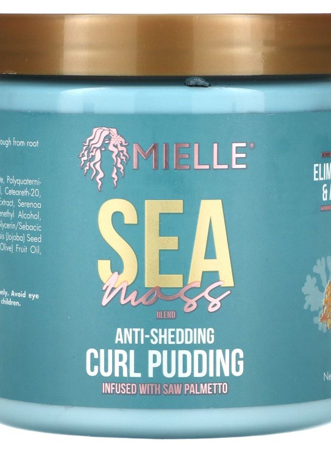 Anti-Shedding Curl Pudding Sea Moss Blend 8 oz (227 g) - pzsku/ZB38FF2B101A7068E909BZ/45/_/1731327240/c278a23c-9744-4a90-a5c2-3205df62ce02