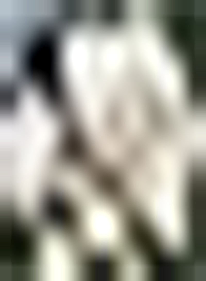 GGOOT 10Stück reinweiße Freesie Zwiebeln mehrjährige Blumenzwiebeln Topfpflanze Zwiebeln Brillante Farben Hohe Keimrate Schnittblumensträuße - Image 3