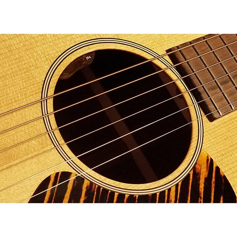LR Baggs Element Active System with volume Control for Steel String Guitar - Image 2