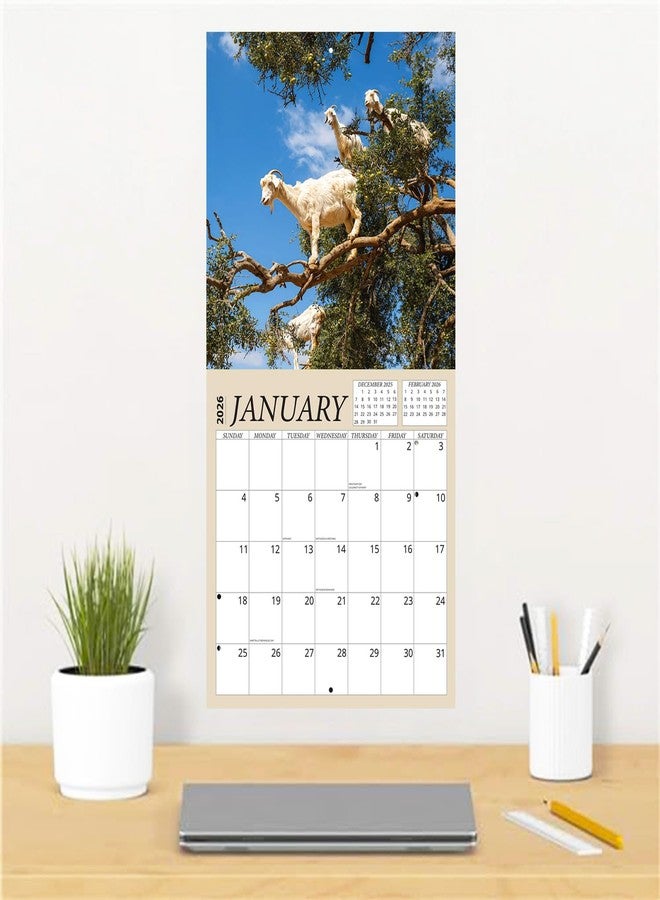 Crenstone Goats in Trees Calendar 2026 - Deluxe 2026 Bizarre Goats Wall Calendar Bundle with Over 100 Calendar Reminder Stickers (Animal Gag Gifts, Office Supplies) | Made In The USA - Image 5