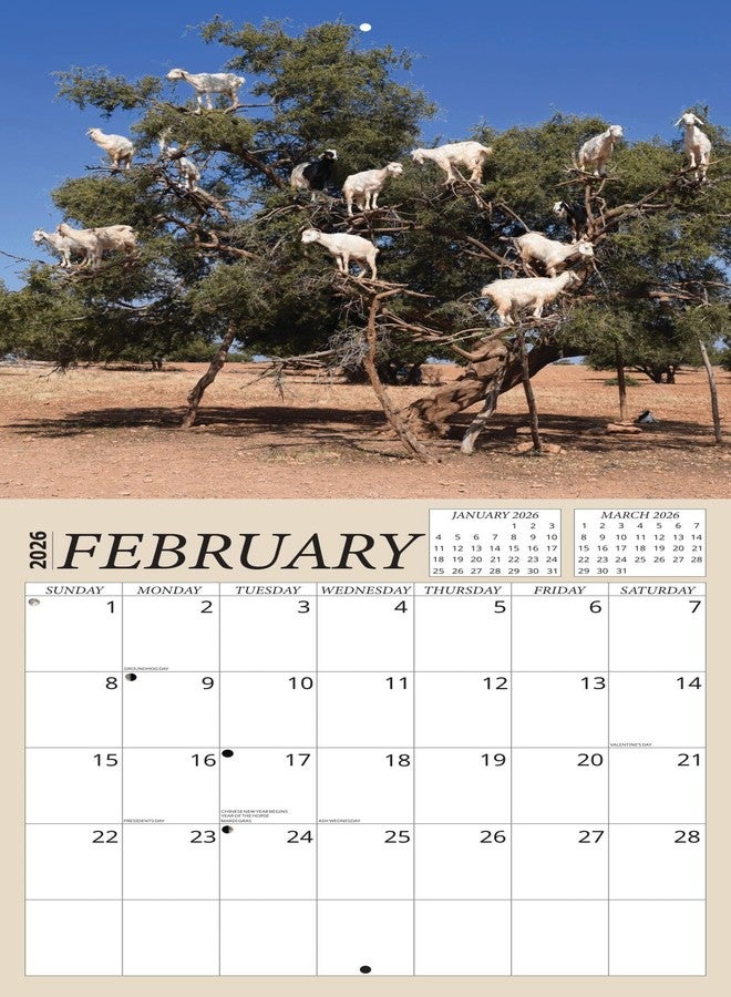 Crenstone Goats in Trees Calendar 2026 - Deluxe 2026 Bizarre Goats Wall Calendar Bundle with Over 100 Calendar Reminder Stickers (Animal Gag Gifts, Office Supplies) | Made In The USA - Image 4