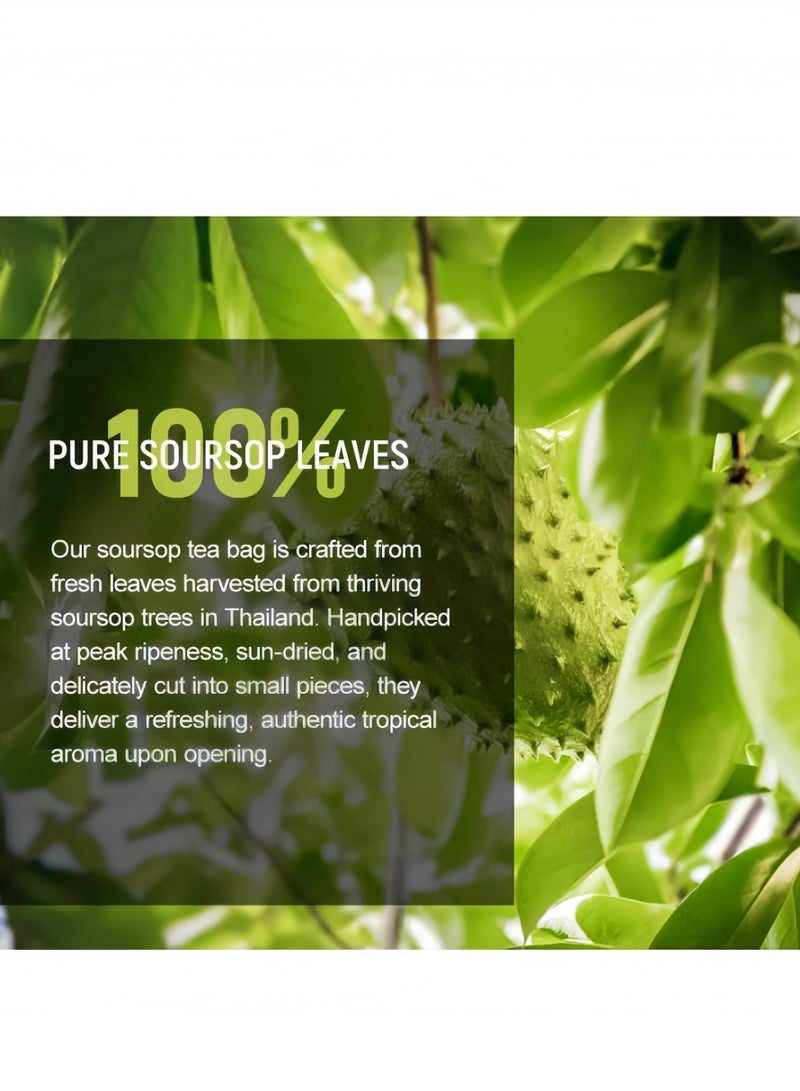 Wins Town 100% Pure Soursop Graviola Leaves tea,Annona muricata - Guanabana - Premium Quality 100% Pure Leaf ,1.5g*20 tea bags - Image 3