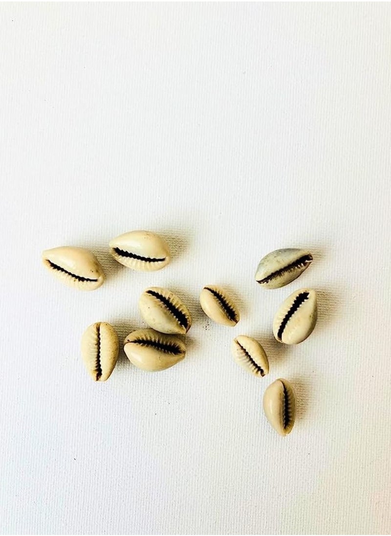 Awafi Mill Rati Abrus Precatorius Wild Harvested  100 Pure Natural Red Gaungchi Seeds Rosary Pea 150 Gm  - Image 2