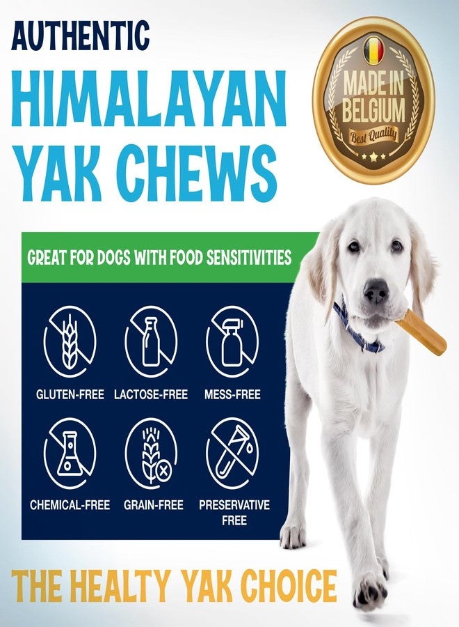 FETCHERONI Himalayan Yak Cheese Chews - Natural Dog Bones - Yak Cheese Himalayan Dog Chews – Long Lasting Himalayan Dog Cheese Chew - Yak Chews for Large, Medium and Small Dogs (Large, 5 Pack) - Image 4