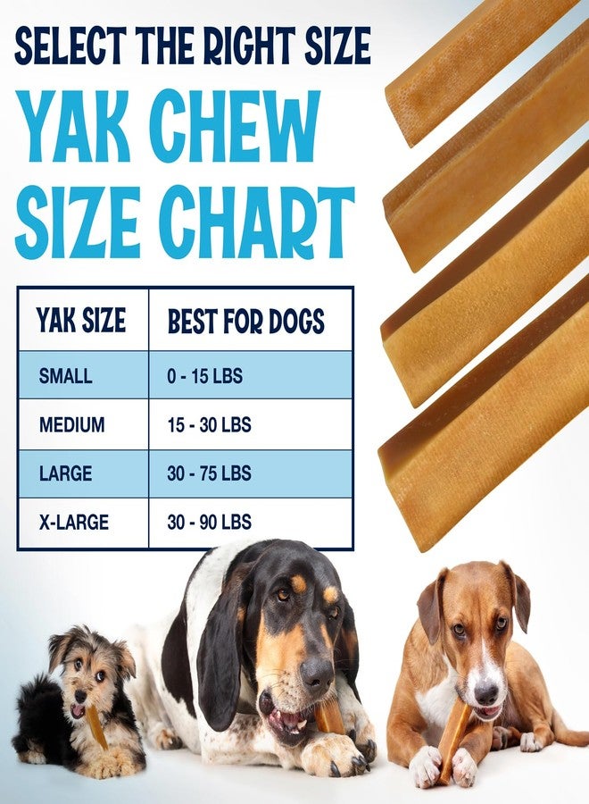 FETCHERONI Himalayan Yak Cheese Chews - Natural Dog Bones - Yak Cheese Himalayan Dog Chews – Long Lasting Himalayan Dog Cheese Chew - Yak Chews for Large, Medium and Small Dogs (Large, 5 Pack) - Image 2